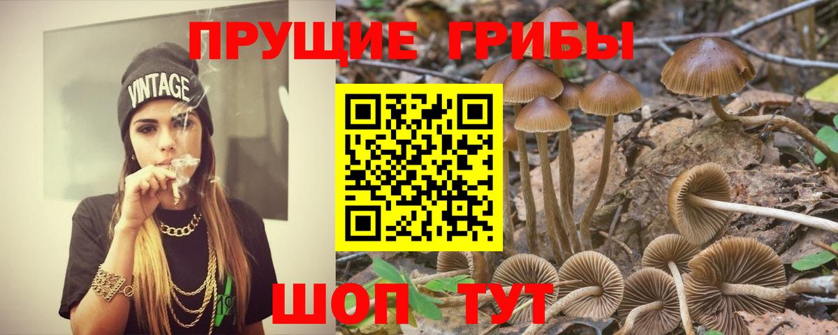 Галлюциногенные грибы Magic Shrooms  Вход с VPN  наркошоп  Кумертау 